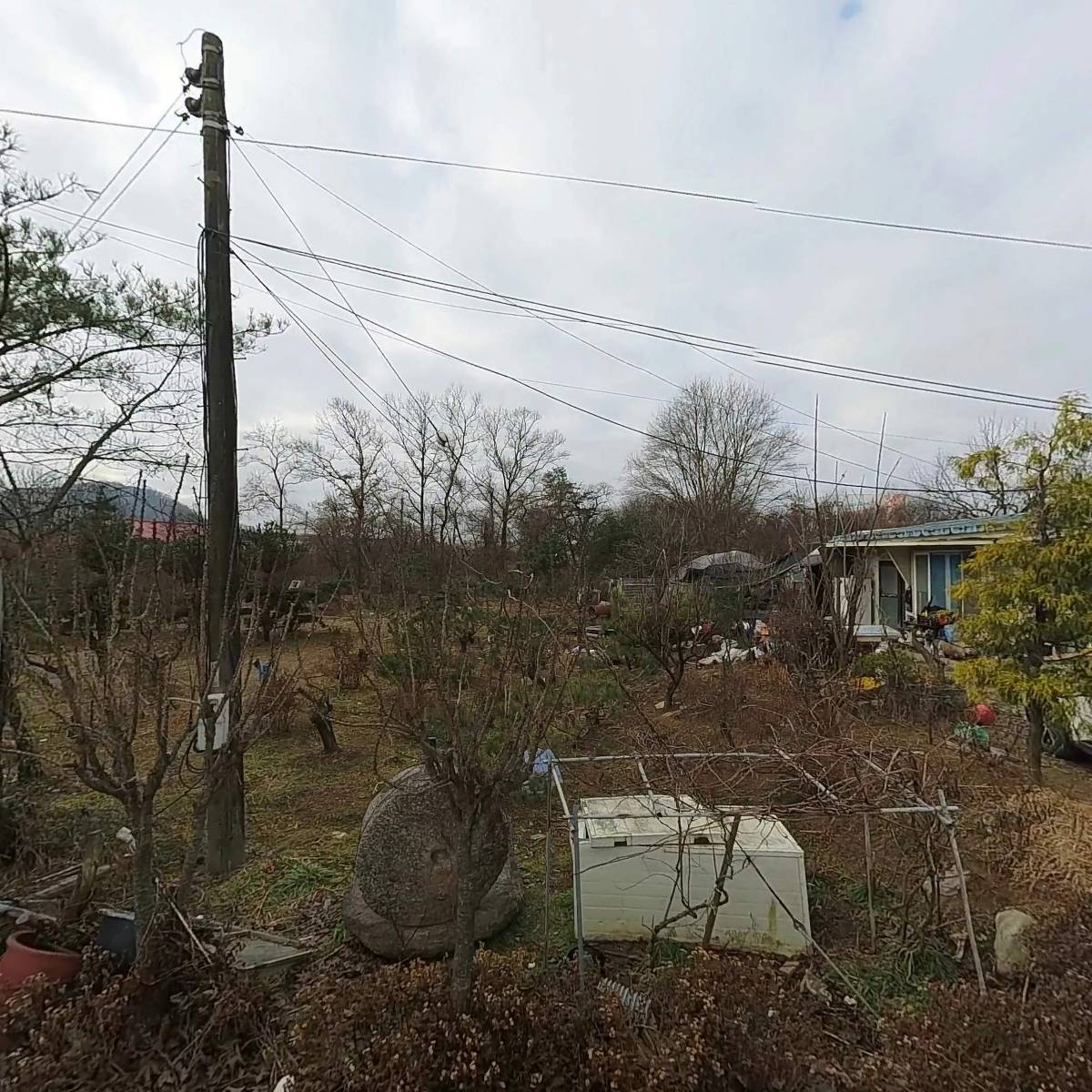 한국산야농원_3