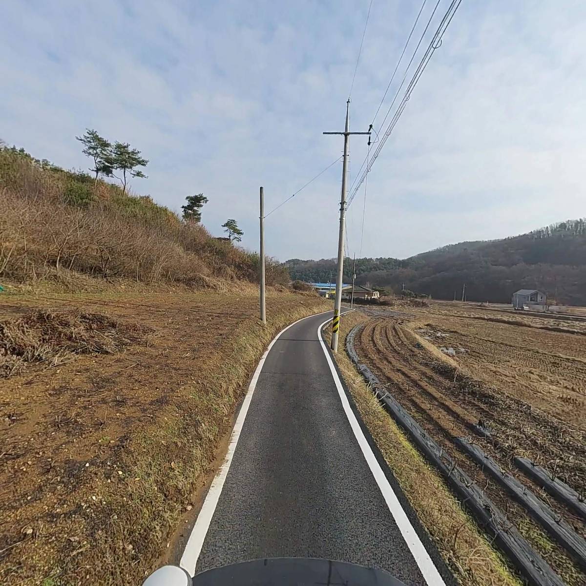 홈포레스트_2