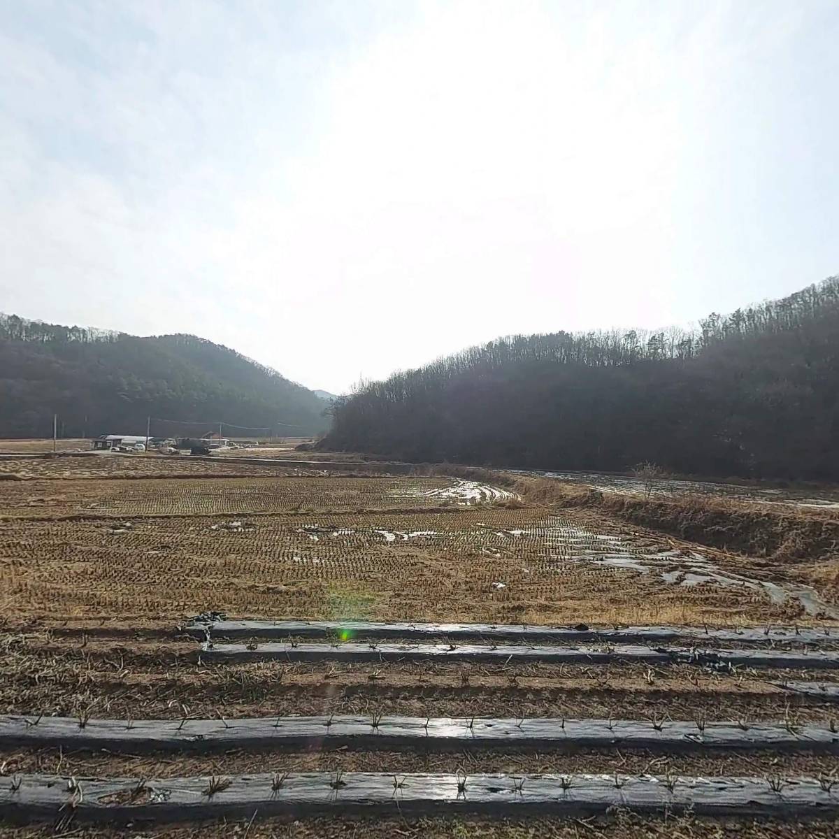 홈포레스트_3