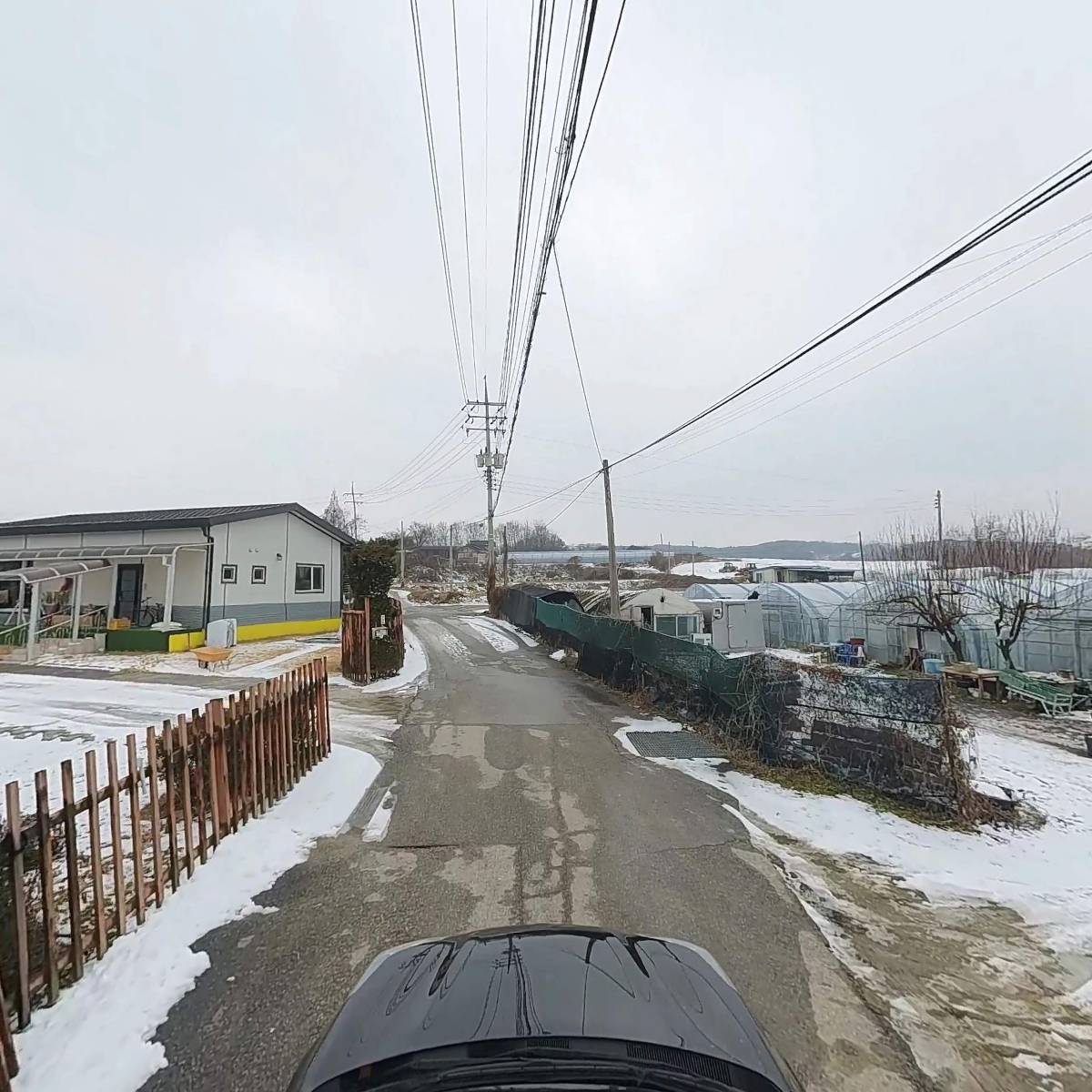 한국구아바일죽농장_4