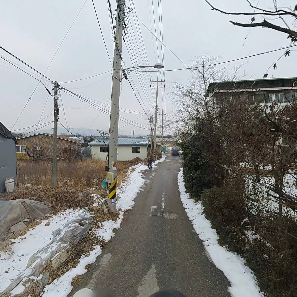 한국구아바일죽농장_2