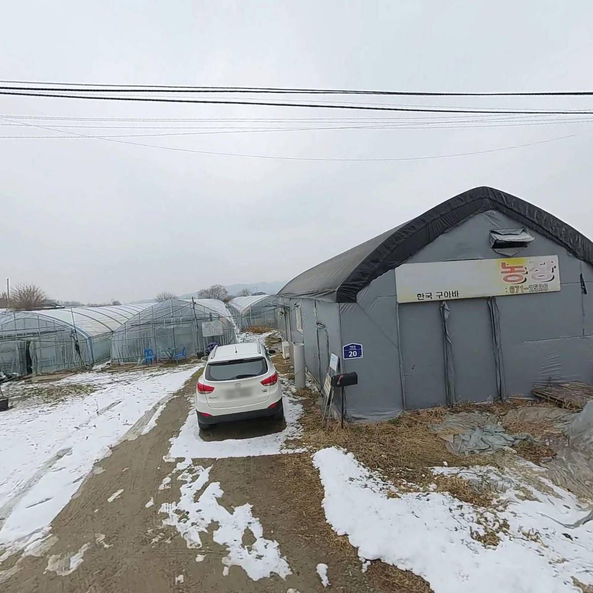 한국구아바일죽농장