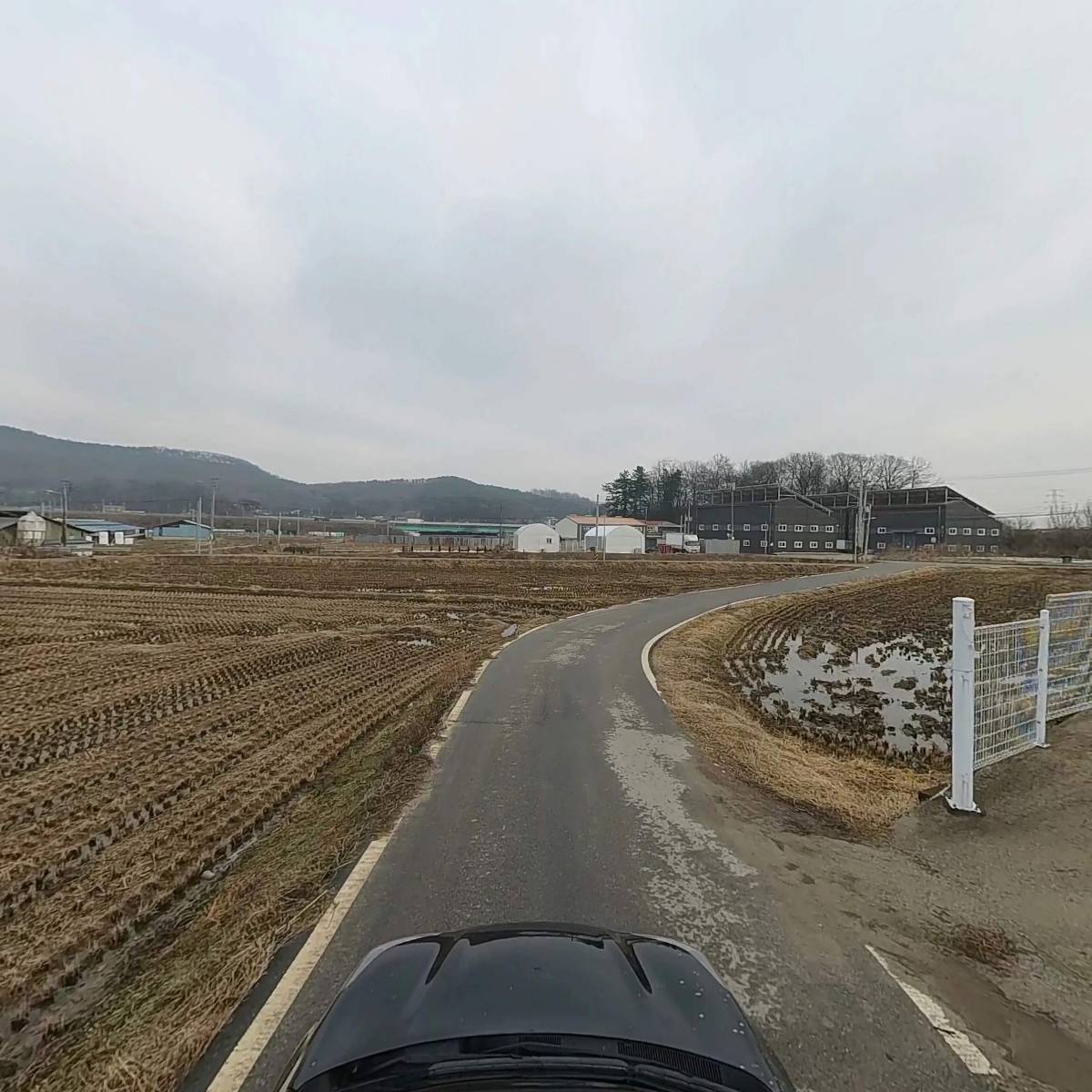 해동_4