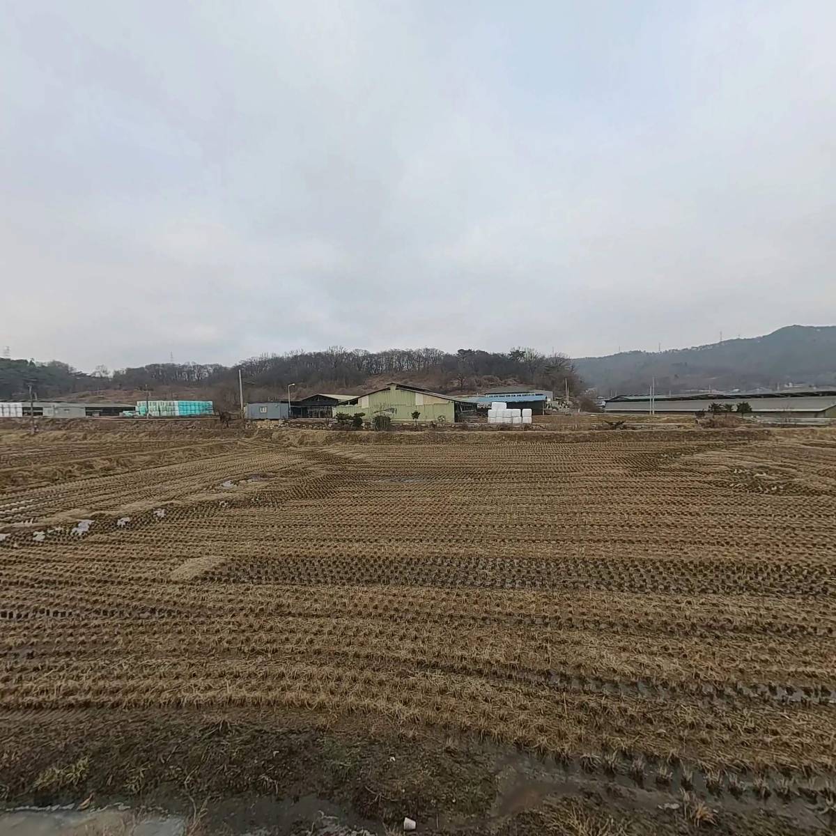 해동_3