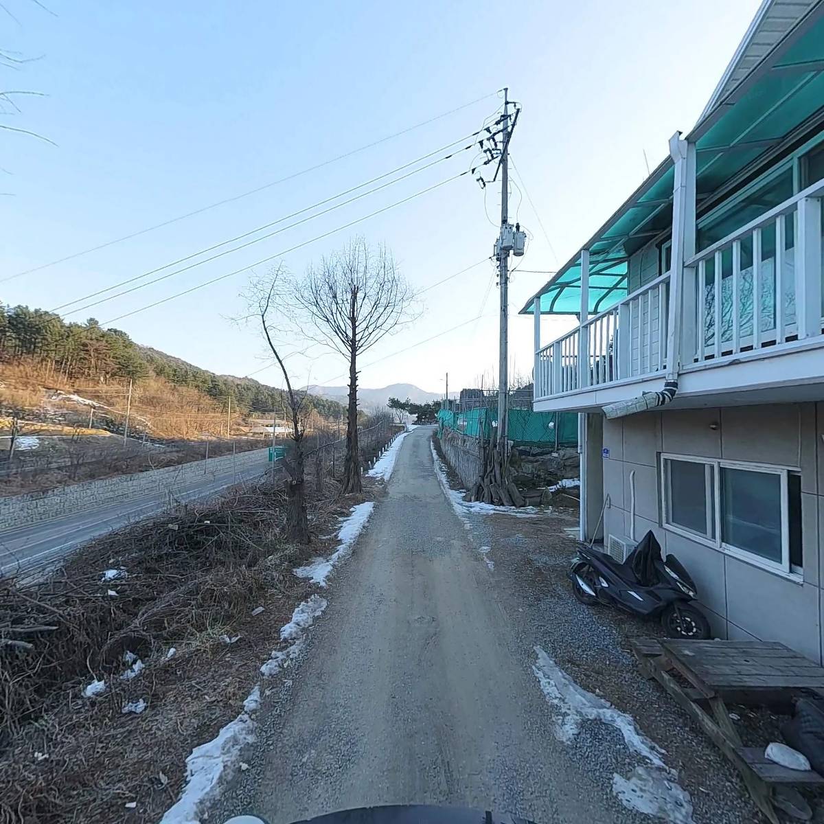 해농_2