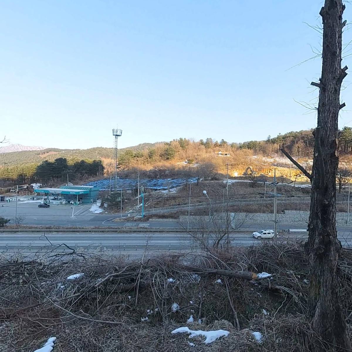 해농