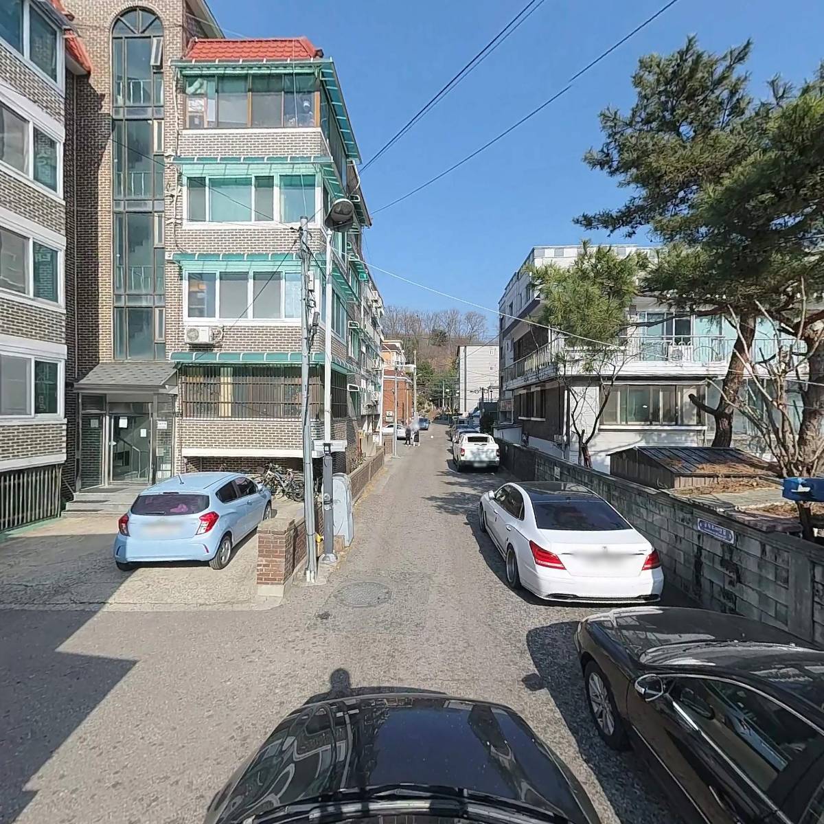 담뱃잎_4