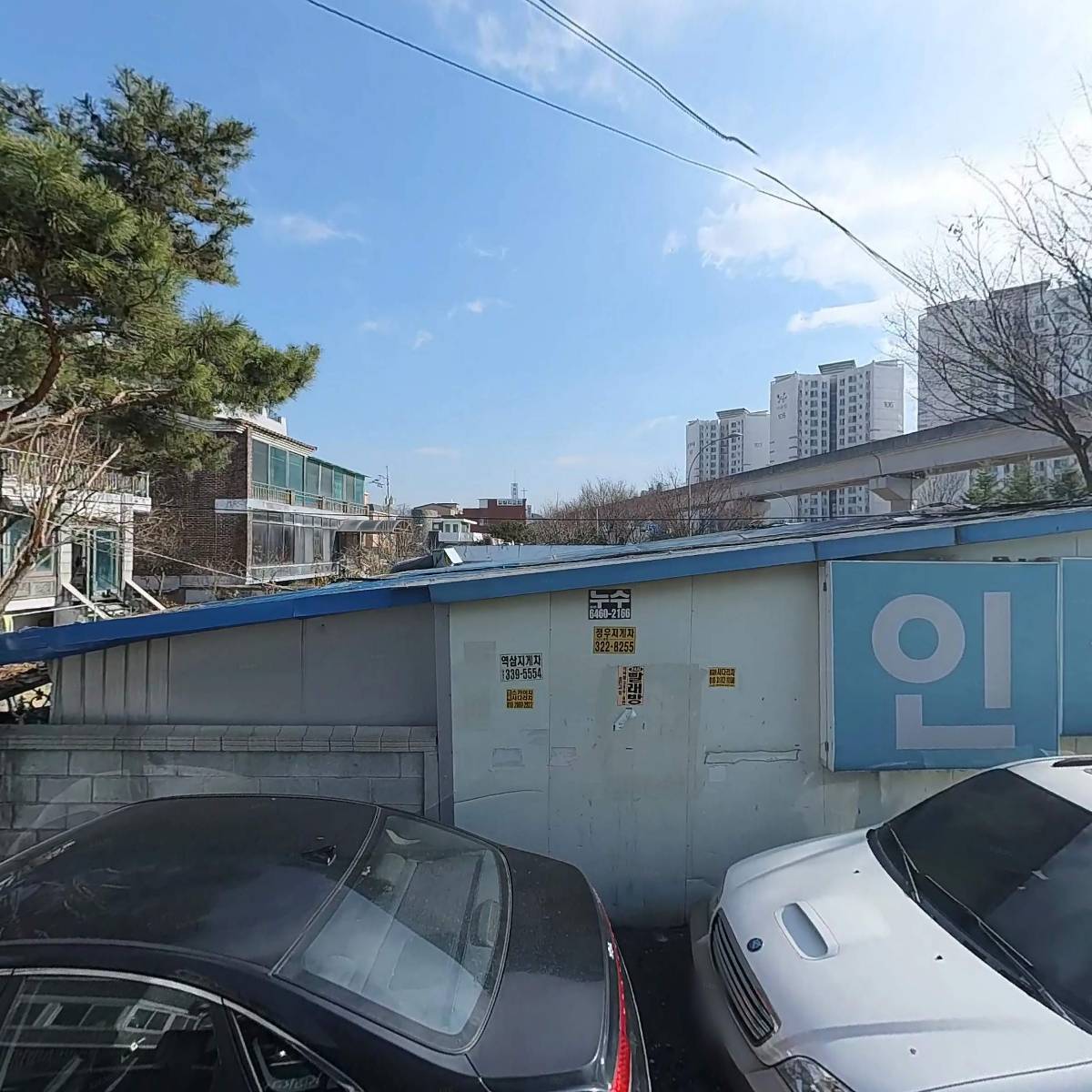 담뱃잎